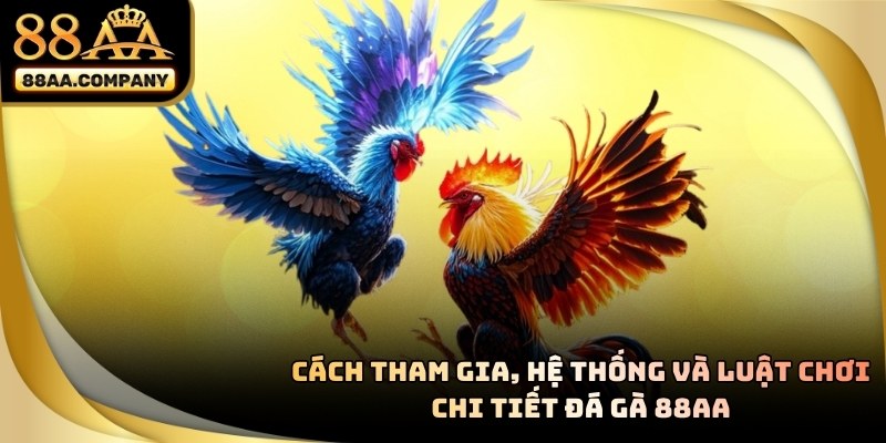 Cách tham gia và luật chơi đá gà 88aa